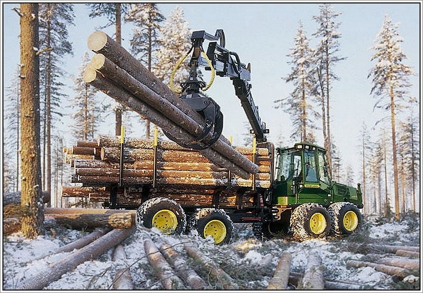 冬天森林，当修建一个木房子时